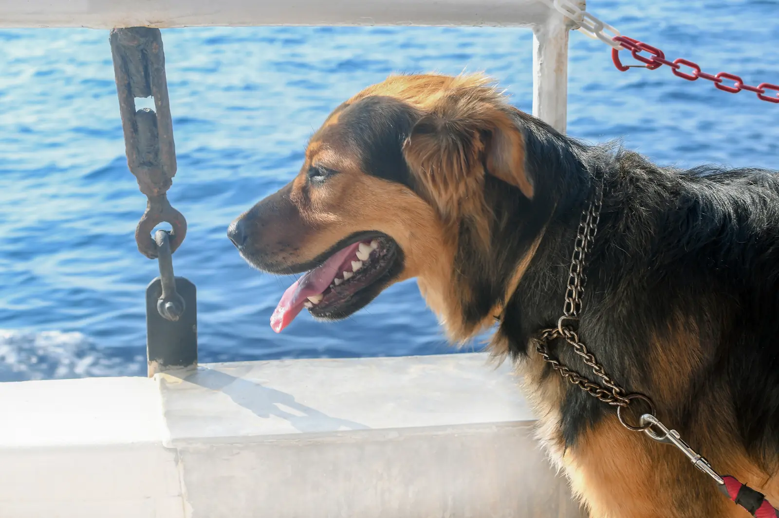 The Koralj mascot on deck