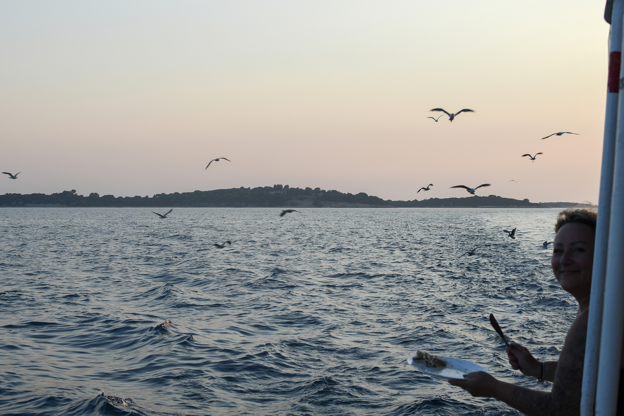 Feeding seagulls at dusk on the Adriatic