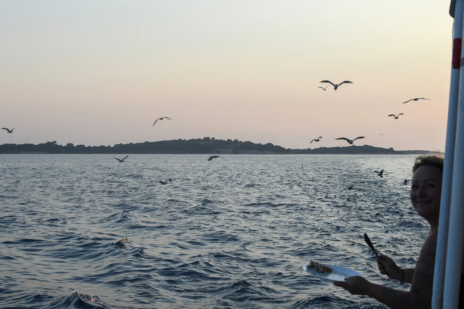 Feeding seagulls at dusk on the Adriatic